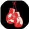 The Fight Fanatic